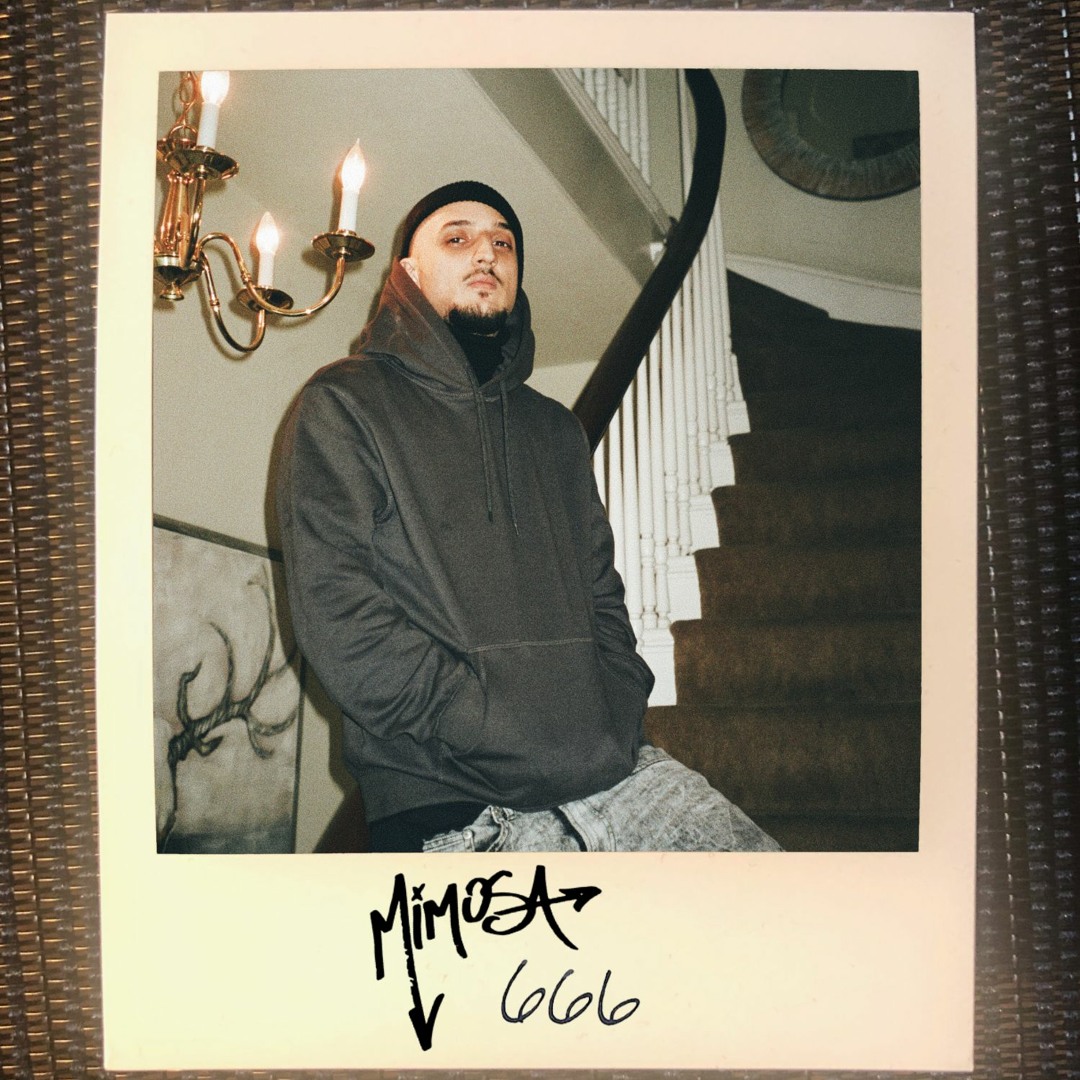 mimosaページ Brązowe Klasyczne Kozaki z Imitacji Zamszu na Słupkowym