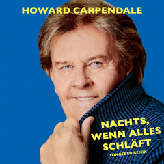 Nachts, wenn alles schläft (Tongeber Remix)
