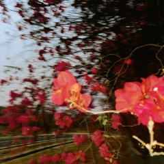 stay inside - Single