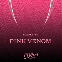 Blackpink - Pink Venom(dylonmaycel x hukared x ZSunder remix)[SLW Edit]