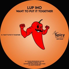 Want To Put It Together (traxsource available)
