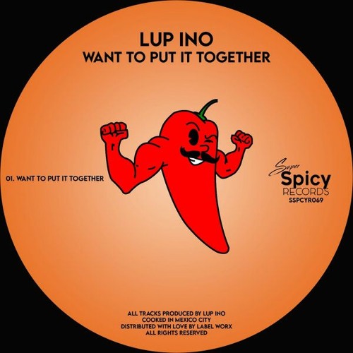 Want To Put It Together (traxsource available)