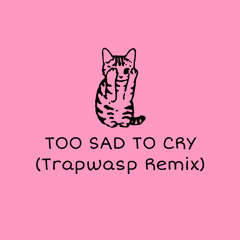 Sasha Sloan - Too Sad To Cry (Trapwasp Remix)