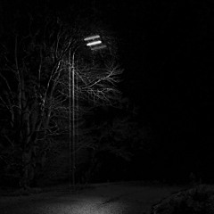 Pain Before Silence feat. Fyre - The Dying Horizon