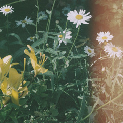 Colours (feat. Alto Aria)