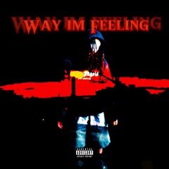 PradaRon - Way Im Feelin