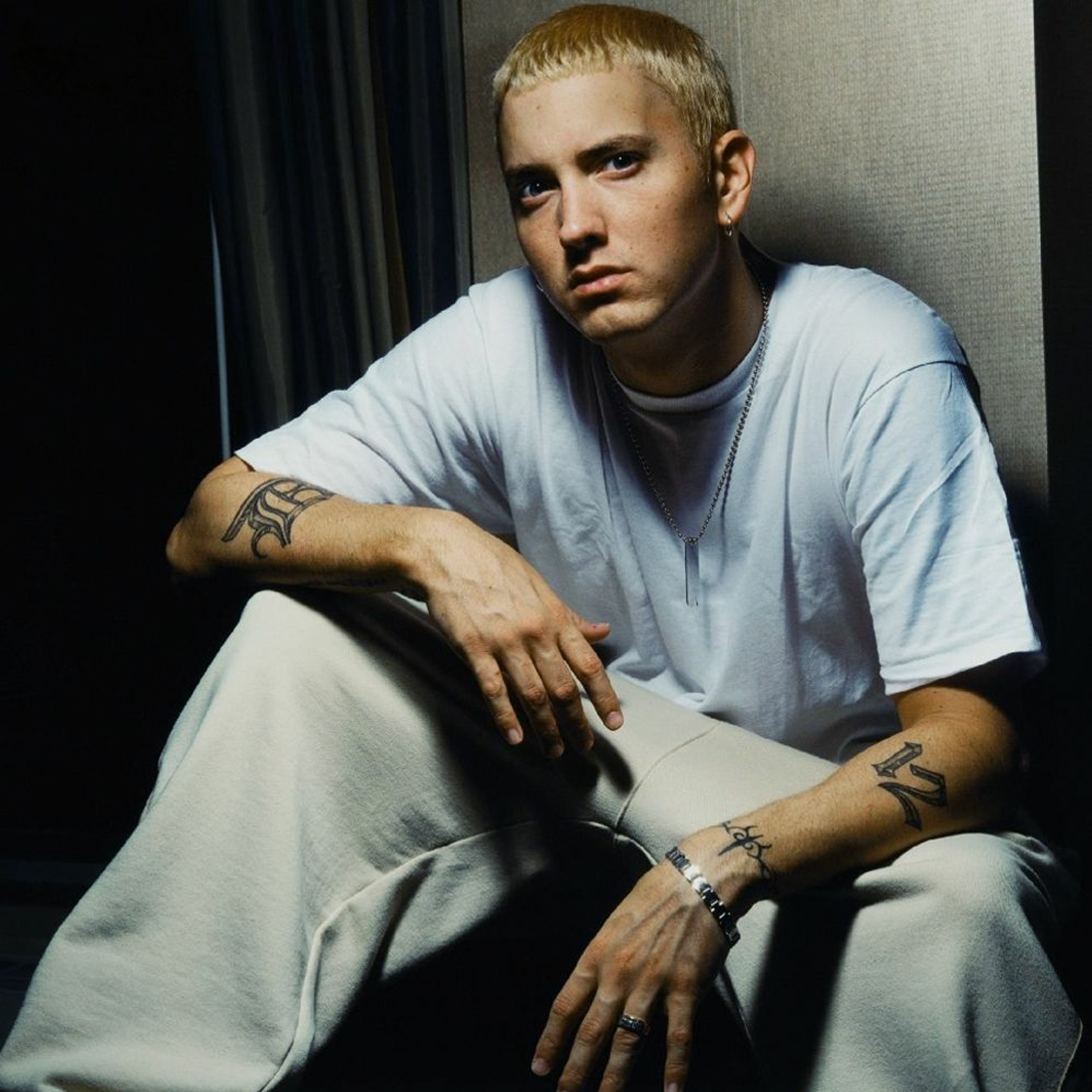 Eminem Slim Shady Type Beat episode artwork
