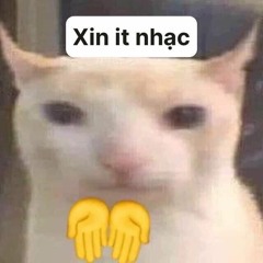 Yêu một Người Gian Dối - BV