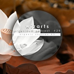 Organicum Podcast #29 :: Organic Session #5