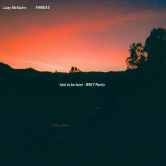 Lizzy McAlpine - hate to be lame (feat. FINNEAS) (BREY Remix)