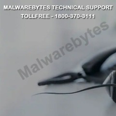 +1800 370 3111 Malwarebytes Technical Support Number