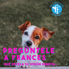 PREGÚNTALE A FRANCES - 20 DE AGOSTO DE 2025