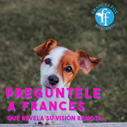 PREGÚNTALE A FRANCES - 20 DE AGOSTO DE 2025