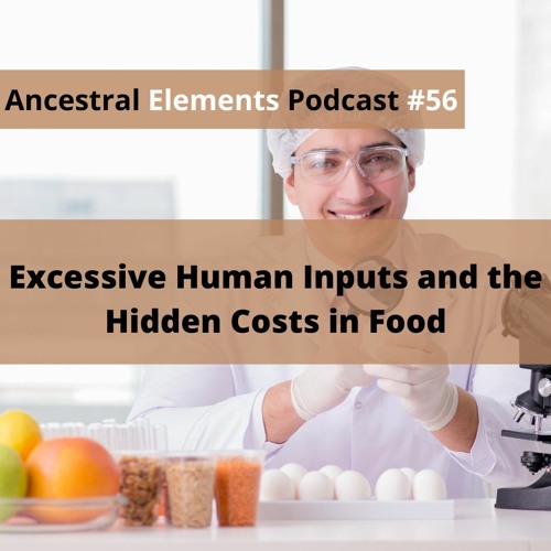 Excessive Human Inputs And The Hidden Costs In Food Ep 56
