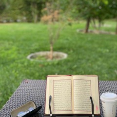 وهُوَ اللَّـه | المنشاوي
