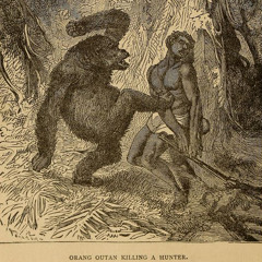 Nutso Thugn - Shooting Range