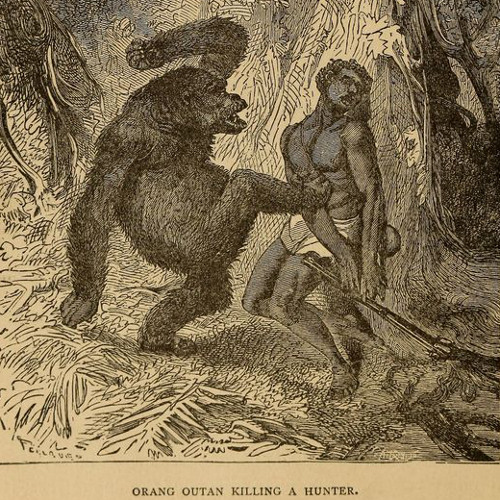 Nutso Thugn - Shooting Range