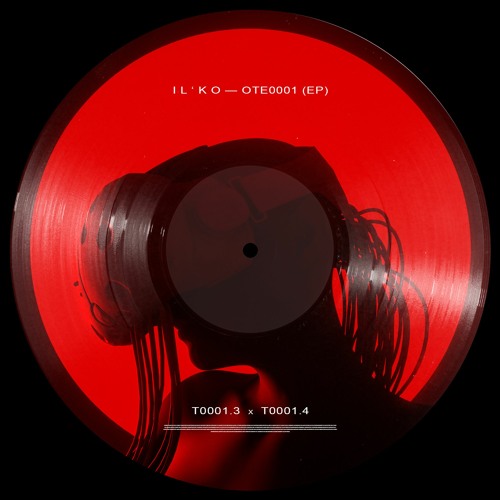 T0001.3