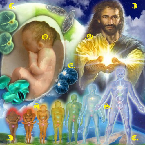 That one weird dream