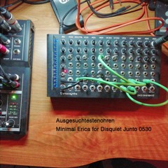 Minimal Erica Disquiet0530