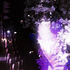 reflections / 777 (prod. XVN)