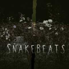 SnakeBeats