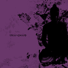 Live Another Day (feat. The Butcher of Bakersfield & Jigsippi)