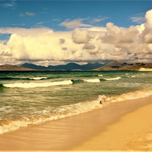Reaching out for paradise.