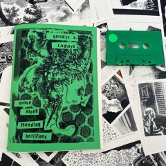 BARRETT E LEDIARD - WOLF SPIDER IN A CLOUD OF SMOKE (excerpt)