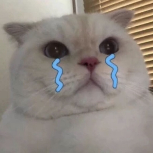 Như Một Người Dưng | Ân Beat Remix