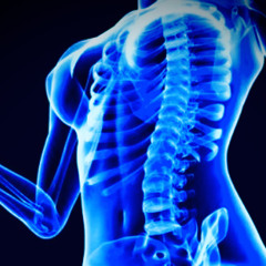 Oh Yeah (throw me a bone mix)WML