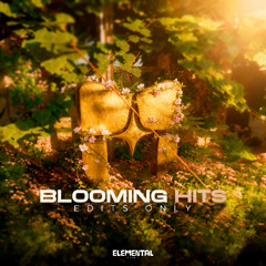 Bommie Tyler - Holding Out for a Hero (SWRN Hard Trance edit) [BLO 01]