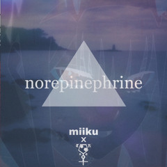 miiku x trudnoskasatkto – norepinephrine