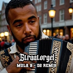 Straatorgel - D2 ft. Mula B (Straatorgel Remix)
