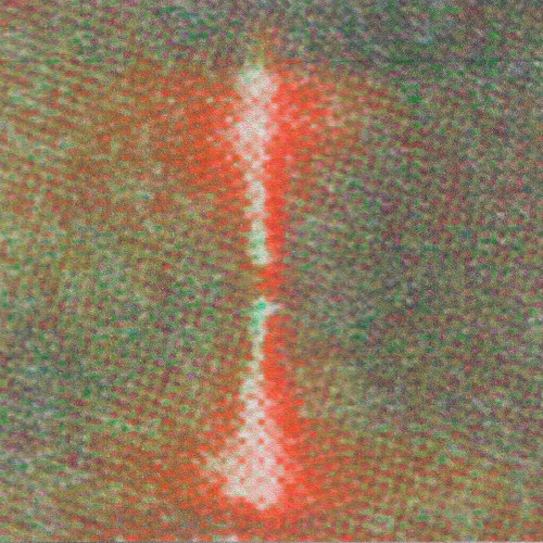 Animix One Hundred & Seventy Two: Cashu