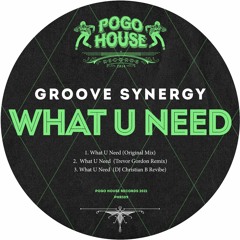GROOVE SYNERGY - What U Need (Trevor Gordon Remix) PHR309 ll POGO HOUSE