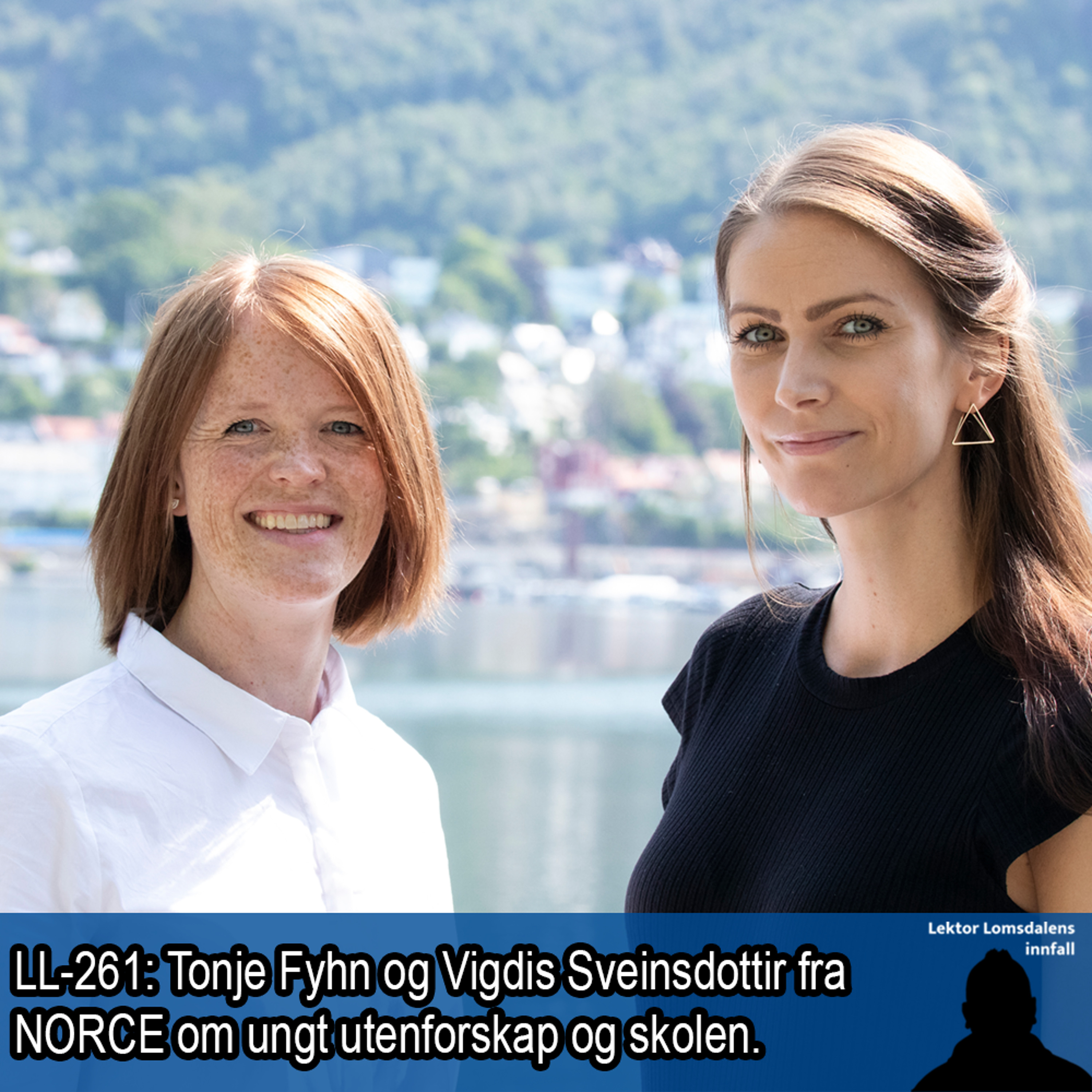 Lektor Lomsdalens innfall
