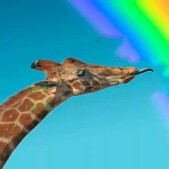 touch the sun ft. ylannee