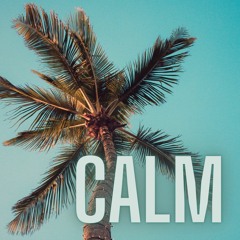 Palm Tree Calm