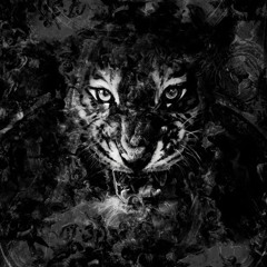 SwTex & PØI - Dark Melodic Techno Set | JUNE 18/25