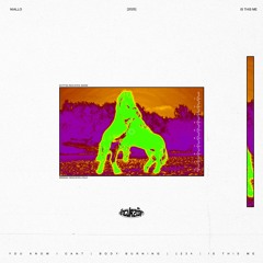Niallo - Body Burning