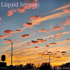 Liquid Session