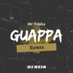 Mr. Polska - Guappa ( DJ Rein Remix )