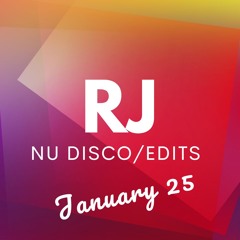 RJ Nu-Disco & Edits Mix January 2025
