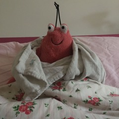 Baki @ Summer Skeuds