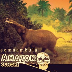 Amazon Jungle - - - SOMNAMBULA  [Full Album]