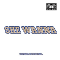 She Wanna (Skiiwlkr x Brownsilla)