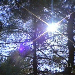 mozart - new day