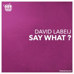 David Labeij - Say What (Jos Lok Remix) CLIP