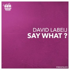 David Labeij - Say What (Original Mix) CLIP